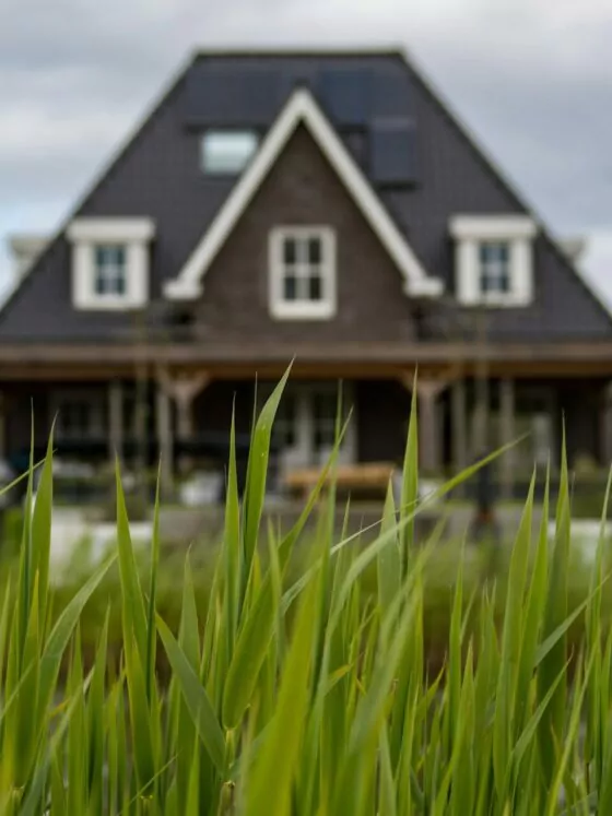 Wohin mit der Familie? Wohnträume und Lebensräume neu denken